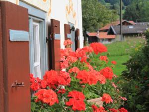 Ferienwohnung Haus Wiesler