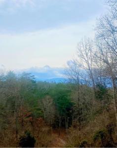 Sweet Seclusion, Hot Tub, Air Hockey, WIFI, 560 FREE tickets each paid day