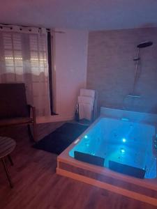 Love hotels Magnifique Loft 35m2 Jacuzzi RVB NIGHT 1 : photos des chambres