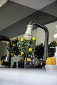 курорт в горах Бакуриани