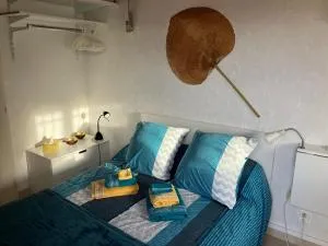 Studio indépendant - Pins-Justaret