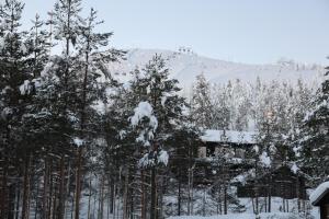Porthos Ski-in Lodge with private hot tub and sauna in Lapland