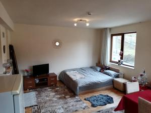 Apartment Love Pamporovo