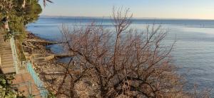 Locazione Turistica Sul Mare Strada Costiera 244, Trieste