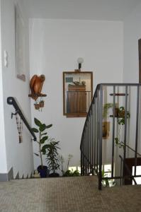 Maisons de vacances A l'ombre du palmier, maison a 1,2 km de l'ocean : photos des chambres