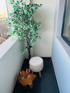 Paris Residence Targu -Jiu