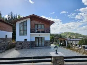 villa in mountains - Bakuriani