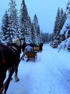 Agroturystyka Pod Modrzewiem - Babia Góra