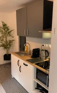 Studio VI proche ligne 14 Kremlin Bicêtre - 卡尚