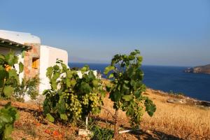 Kalderimi Traditional Houses Astypalaia Greece