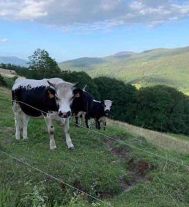 La Fromagerie de La Tourelle