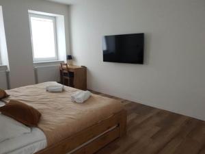 Apartament Zimowiec