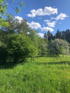 Apartment am Ponyhof