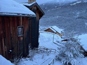 Chalets CHALET IBEX & SPA : photos des chambres