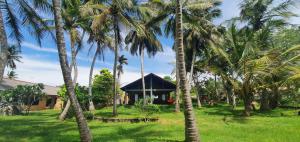 Ocean Cottage