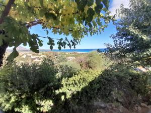 Nuova Valmar "Bilo 52" vista mare