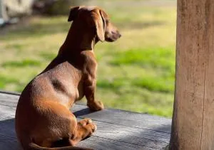 Art Shack @ Wilgabah - Nundle