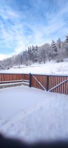 Villa Bayern in Bakuriani