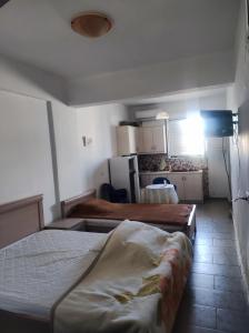 TimbakiTheodosiaT Brothers