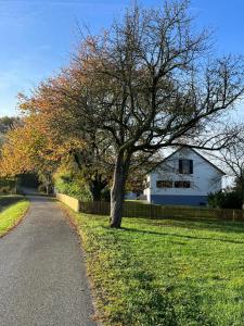 Maribor Luxury Country House Volicina 5* 