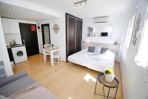 Wind Rose Study Xàbia