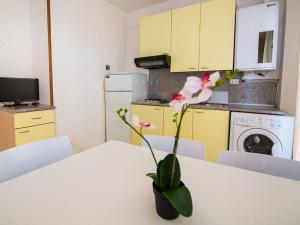 Apartment Cala Luna-2 by Interhome