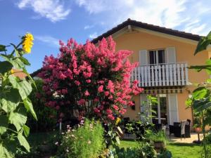 B&B Mon Rêve, Petit déjeuner BIO, Jacuzzi