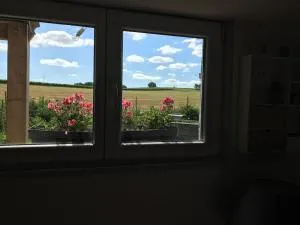 Chalet bois proche de la Dordogne, Eymet a 5 km - Graulet