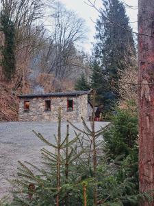Le Ri de Vâ Maboge La Roche en Ardenne