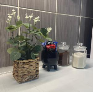 Apartman Tara Sombor