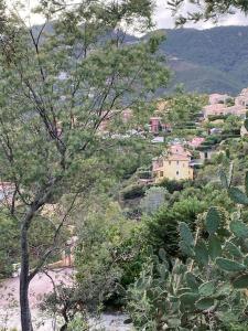 Appartements Cote d’Azur Vue Mer entre Cannes et St Raphael : photos des chambres