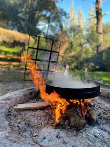 Las Nenas. Un paraíso en el bosque