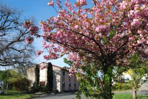 Hotels Hotel du Lac : photos des chambres