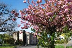 Hôtel Restaurant du Lac - 阿尔比