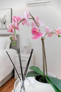 Seaside Apartment M Zaton 5 - Sea View & Parking