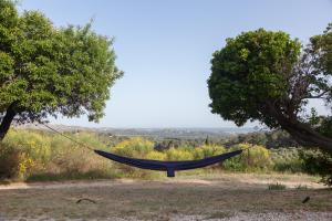 Maisons de vacances Mas de Baubesse: Paradise in Provence : photos des chambres