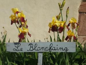 Gîte élégant en pleine nature avec terrasse, départ randonnées, parking privé et équipements inclus - FR-1-589-384