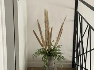 Gîte confortable à Saugues pour randonneurs, 3 chambres spacieuses avec salle deau privative - FR-1-582-365