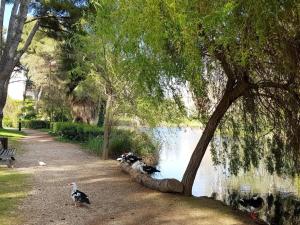 Appartements Charmant T3 climatise avec parking, piscine, tennis, a 200m des plages et commerces - FR-1-316-21 : photos des chambres