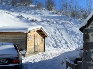 Maisons de vacances Propriete de 6 chambres avec jardin amenage et wifi a Chastreix a 8 km des pistes : photos des chambres