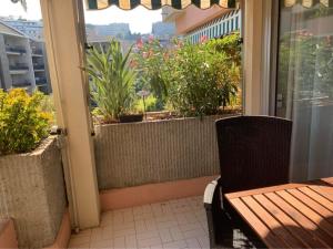 Appartements Appartement T2 en bord de mer : photos des chambres