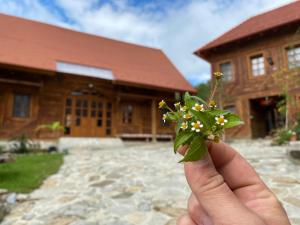 Székelyföld,Siklódi Kő Vendégház, Csűr