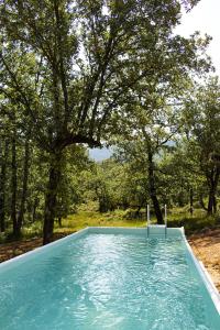 Villa Cinsault, un bijou pour votre séjour en Provence Verte