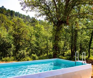 Villas Villa Cinsault, un bijou pour votre sejour en Provence Verte : photos des chambres