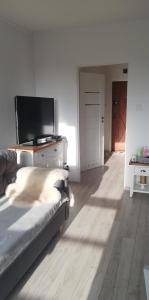 Kawalerka przy termach