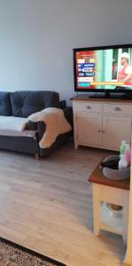 Kawalerka przy termach