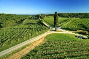 Casa Rossella - Arceno Rentals Club - Villa dʼArceno