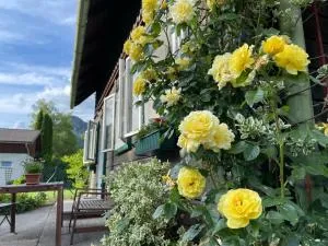 Holzhaus Falkenstein - Sankt Aegyd am Neuwalde
