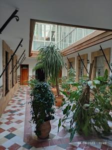 Apartamento Casa Palacio 1890.