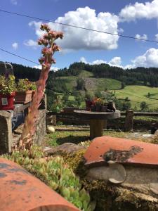 Campings Gezellige luxe caravan met zwembad in zuid- Bourgogne : photos des chambres